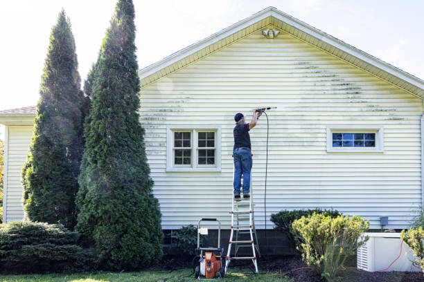 Best Sidewalk and Walkway Cleaning  in Gardende, AL